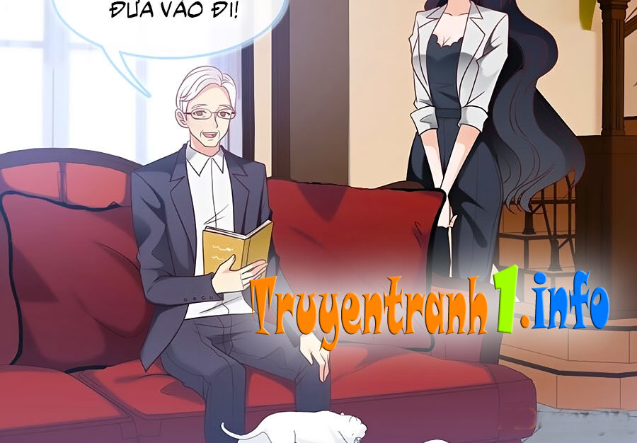 Tổng Tài Daddy Đuổi Tới Nơi Rồi Chapter 77 - Trang 2