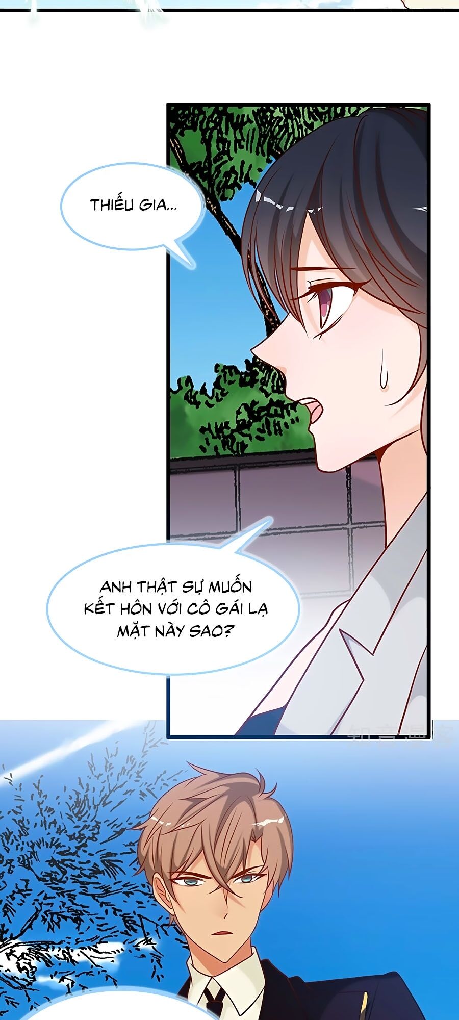 Tổng Tài Daddy Đuổi Tới Nơi Rồi Chapter 77 - Trang 2