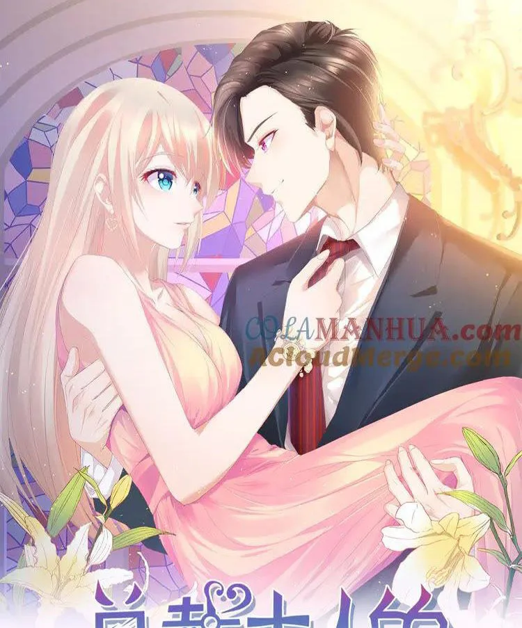 Tổng Tài Đại Nhân Cưng Chiều Vợ Yêu Chapter 0 - Trang 2