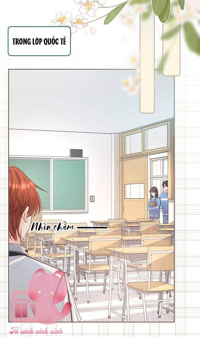 Tổng Tài Đuổi Vợ Lại Khóc Lóc Cầu Xin Vợ Quay Lại Chapter 11 - Trang 2