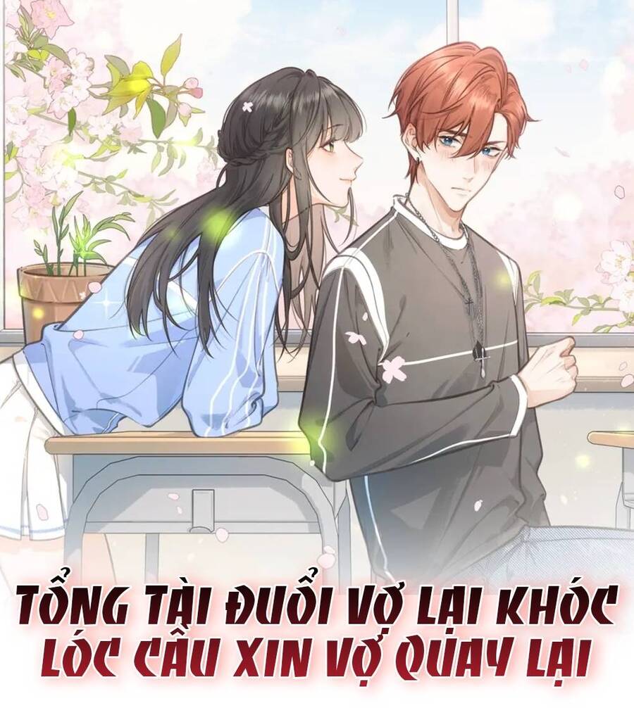 Tổng Tài Đuổi Vợ Lại Khóc Lóc Cầu Xin Vợ Quay Lại Chapter 2 - Trang 2