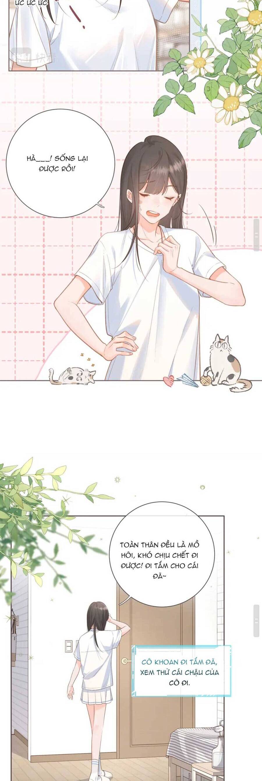 Tổng Tài Đuổi Vợ Lại Khóc Lóc Cầu Xin Vợ Quay Lại Chapter 3 - Trang 2