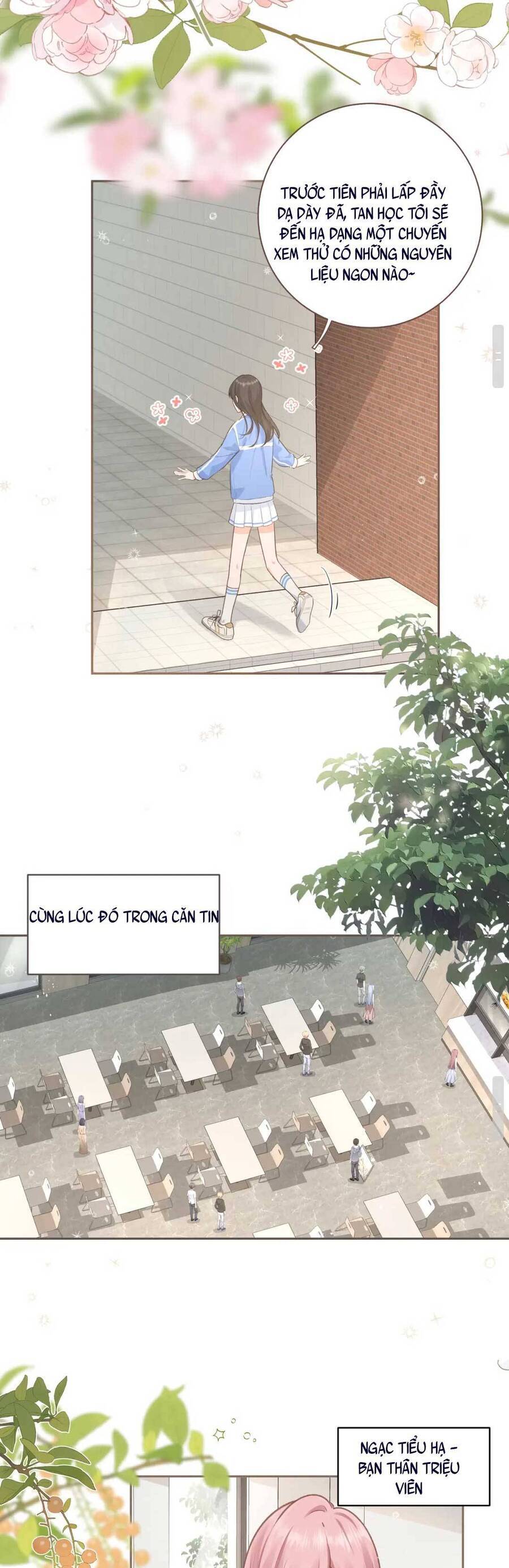 Tổng Tài Đuổi Vợ Lại Khóc Lóc Cầu Xin Vợ Quay Lại Chapter 4 - Trang 2