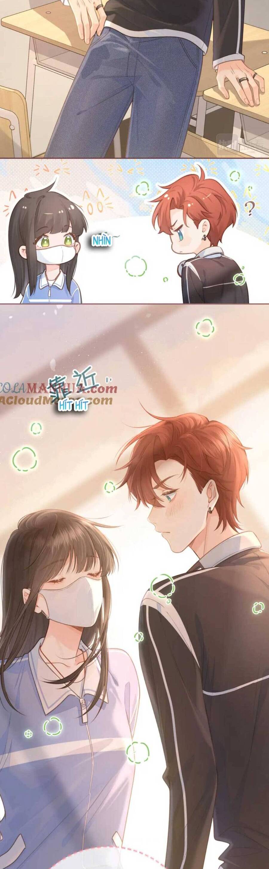 Tổng Tài Đuổi Vợ Lại Khóc Lóc Cầu Xin Vợ Quay Lại Chapter 6 - Trang 2