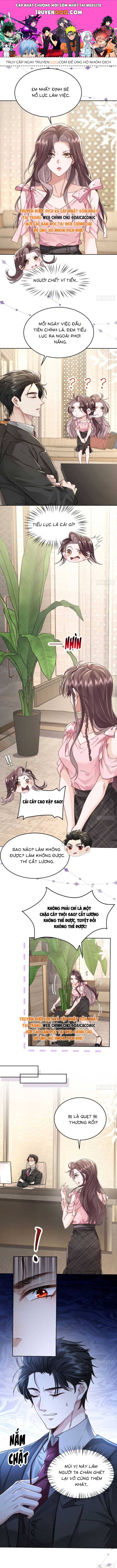 Tổng Tài Ma Cà Rồng Là Người Hầu Của Ta Chapter 1.2 - Trang 2
