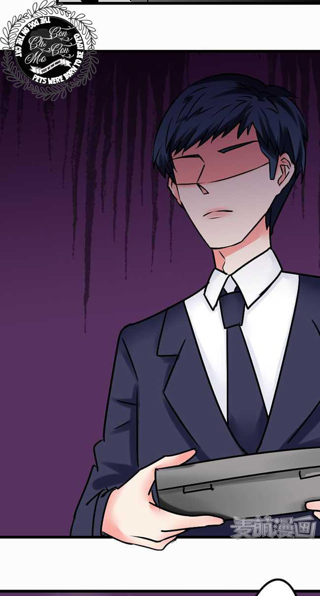 Tổng Tài Ma Cà Rồng Tha Cho Tôi Chapter 3 - Trang 2