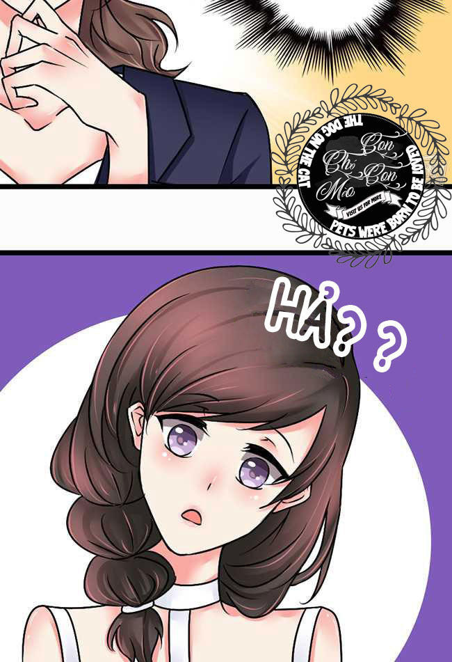 Tổng Tài Ma Cà Rồng Tha Cho Tôi Chapter 4 - Trang 2