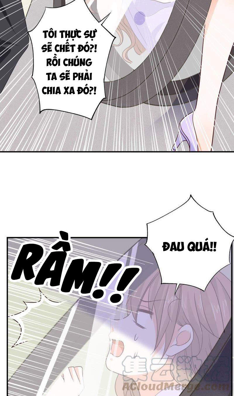 Tổng Tài Phu Nhân Không Muốn Giải Cứu Thế Giới Chapter 3 - Trang 2