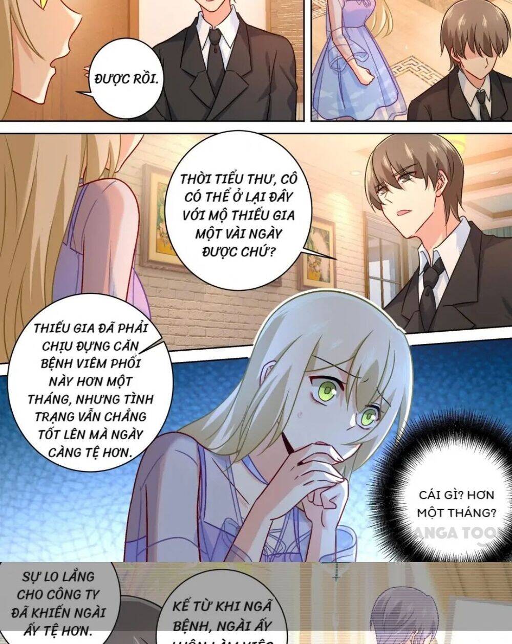 Tổng Tài Tại Thượng Chapter 244 - Trang 2