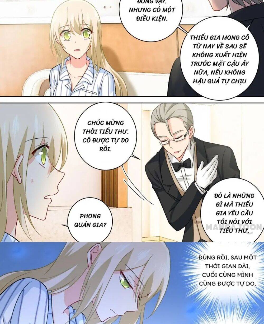 Tổng Tài Tại Thượng Chapter 253 - Trang 2