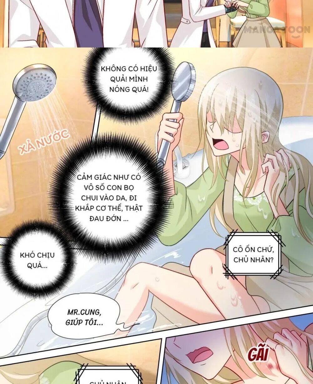 Tổng Tài Tại Thượng Chapter 256 - Trang 2