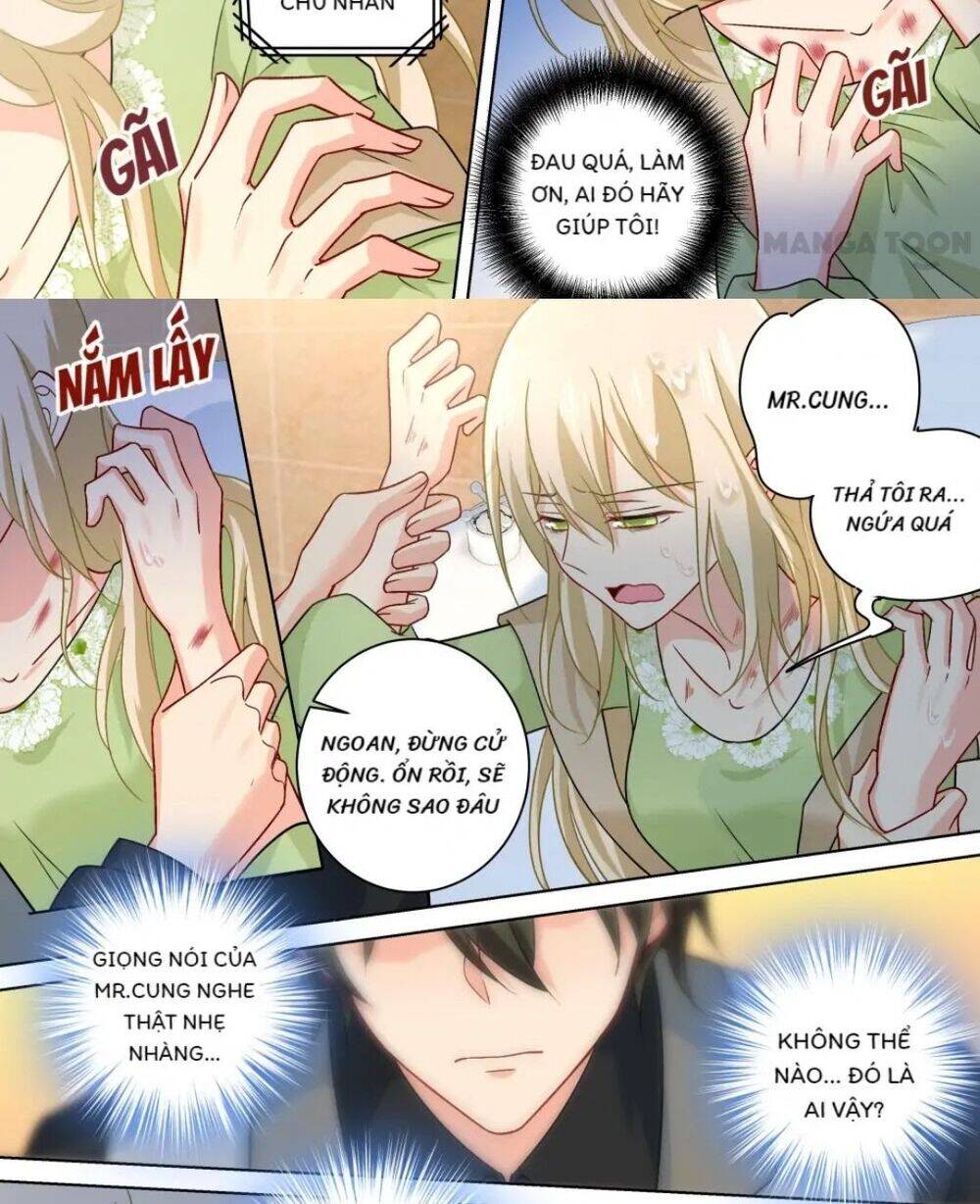 Tổng Tài Tại Thượng Chapter 256 - Trang 2