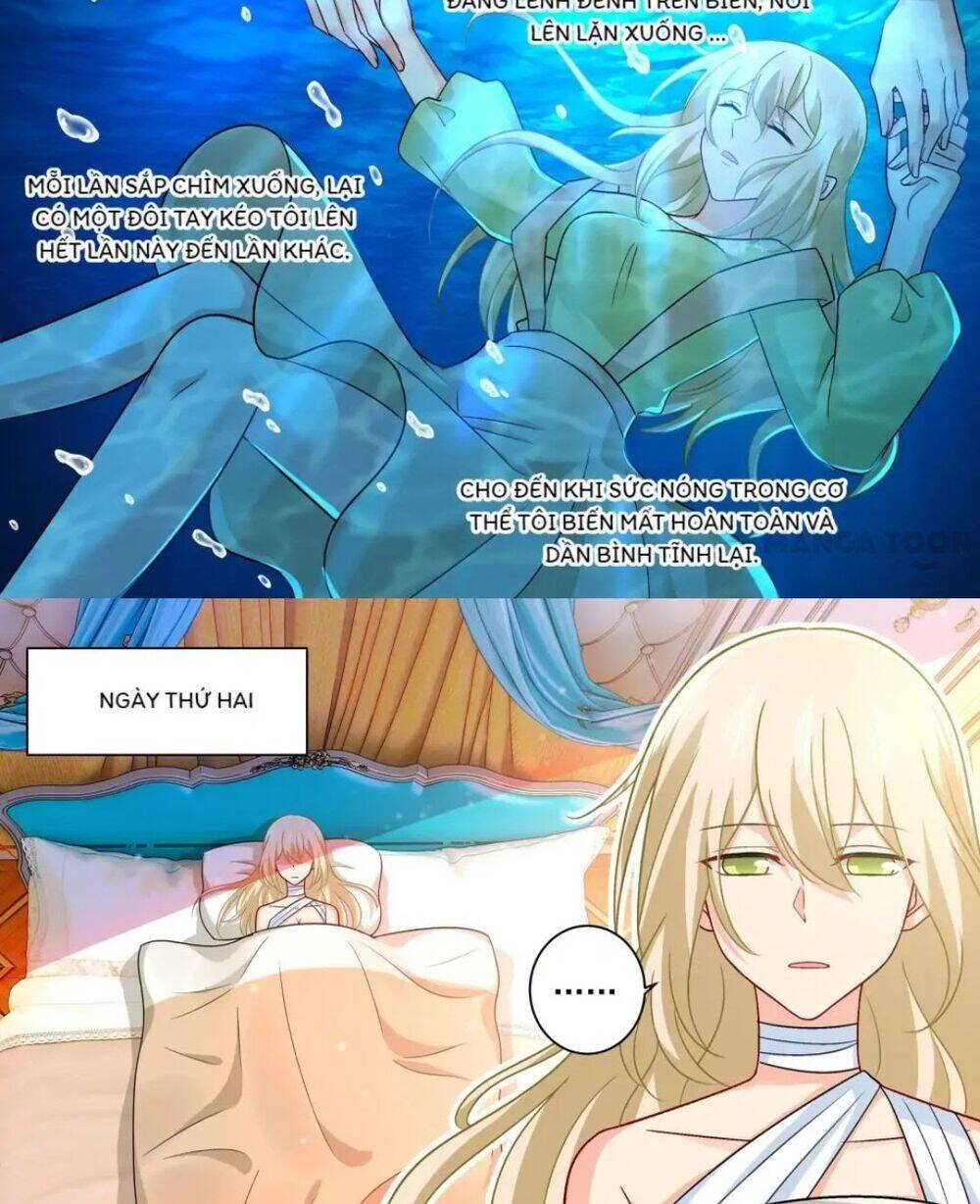 Tổng Tài Tại Thượng Chapter 256 - Trang 2