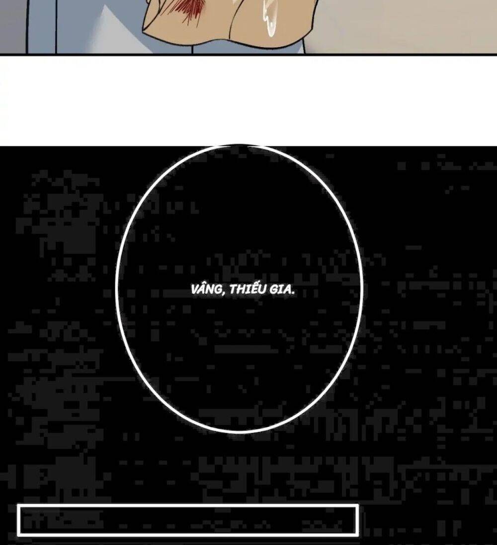 Tổng Tài Tại Thượng Chapter 269 - Trang 2