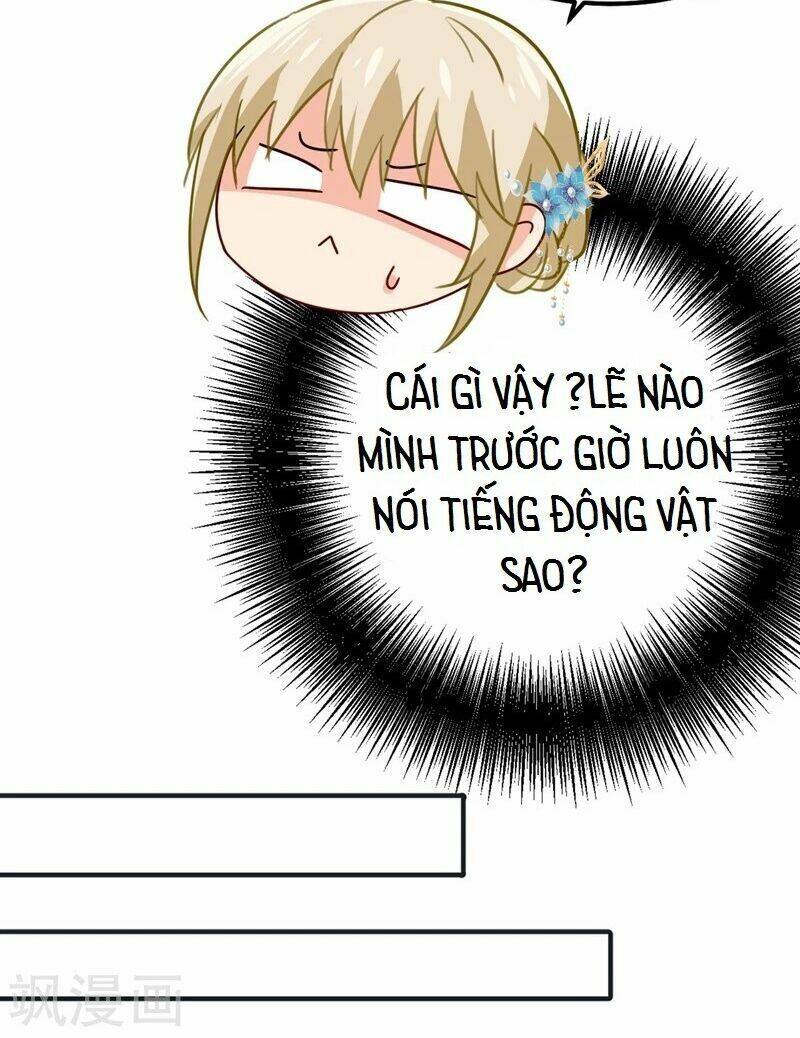 Tổng Tài Tại Thượng Chapter 381 - Trang 2