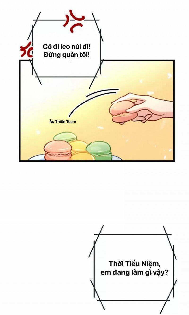 Tổng Tài Tại Thượng Chapter 404 - Trang 2