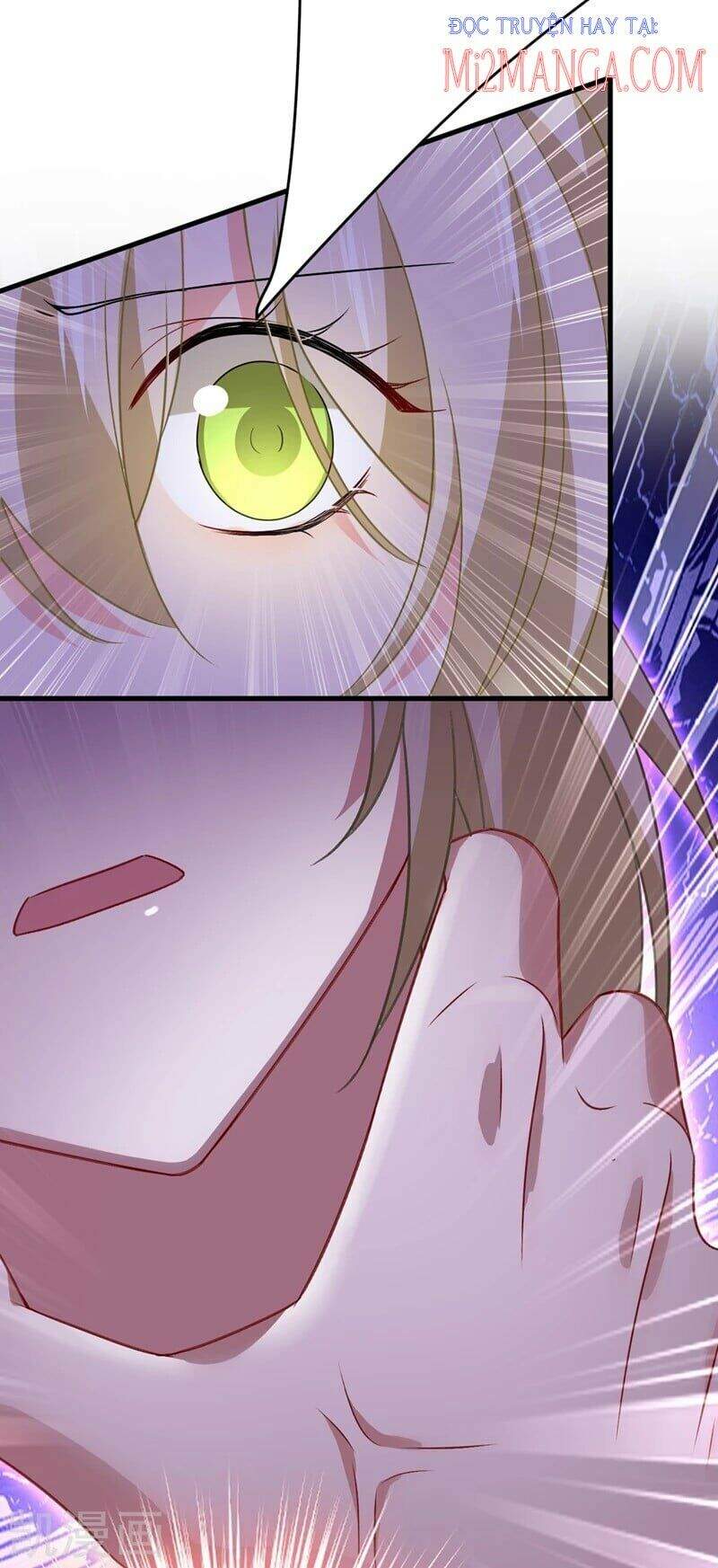 Tổng Tài Tại Thượng Chapter 417 - Trang 2