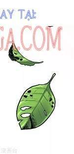 Tổng Tài Tại Thượng Chapter 436 - Trang 2