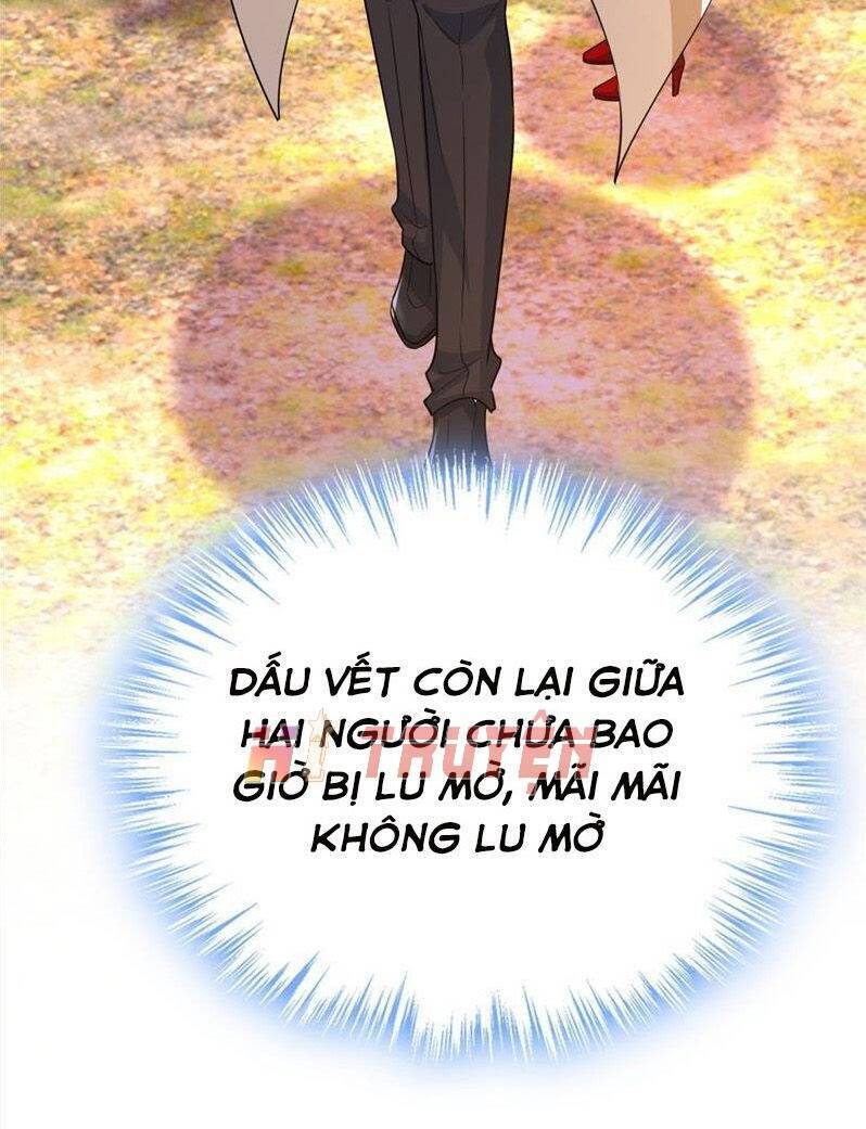 Tổng Tài Tại Thượng Chapter 537 - Trang 2