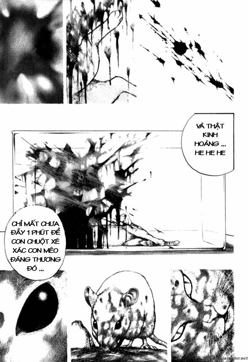 Tough – Miyazawa Kiichi Chapter 153 - Trang 2