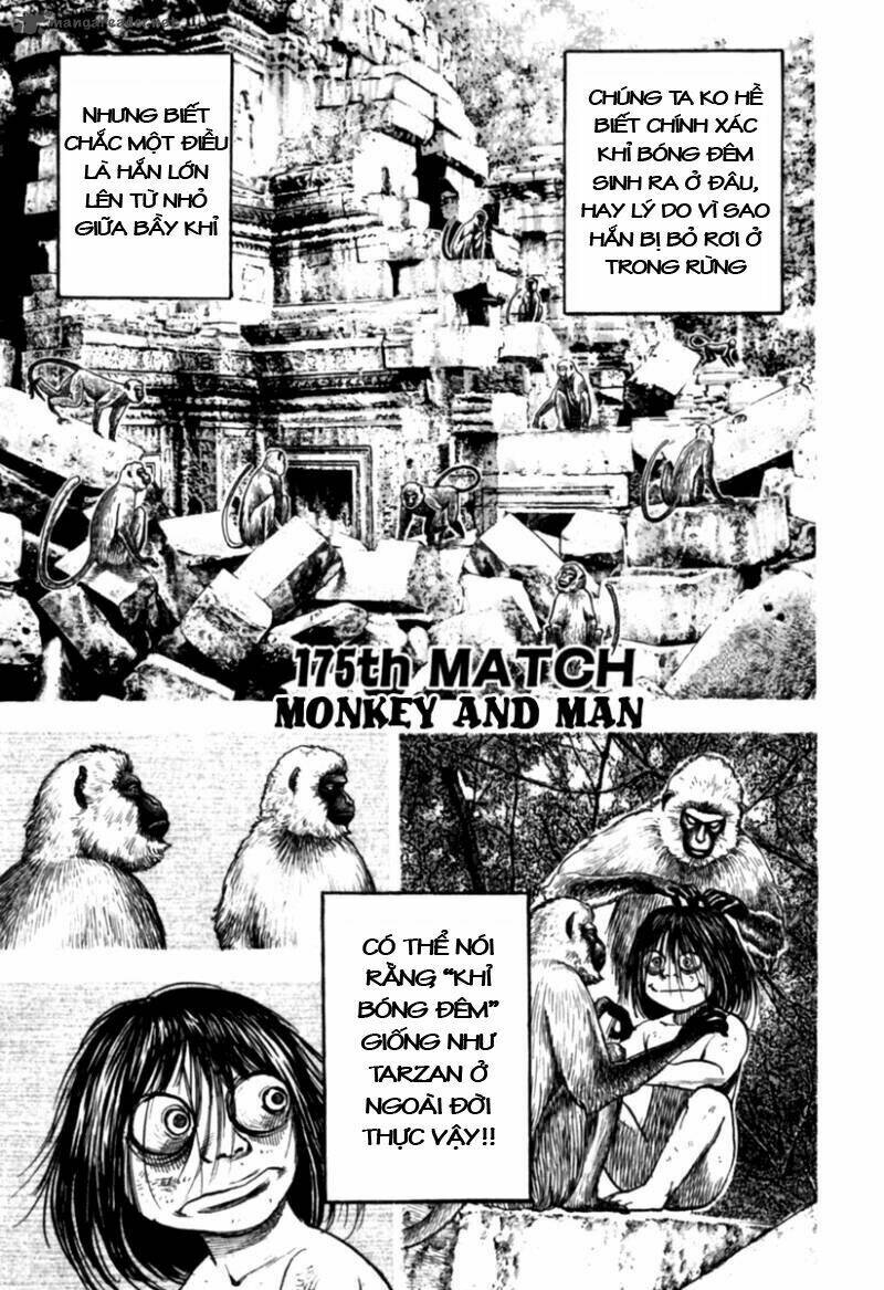 Tough – Miyazawa Kiichi Chapter 175 - Trang 2