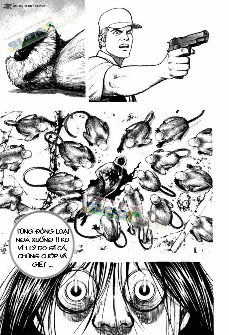 Tough – Miyazawa Kiichi Chapter 178 - Trang 2