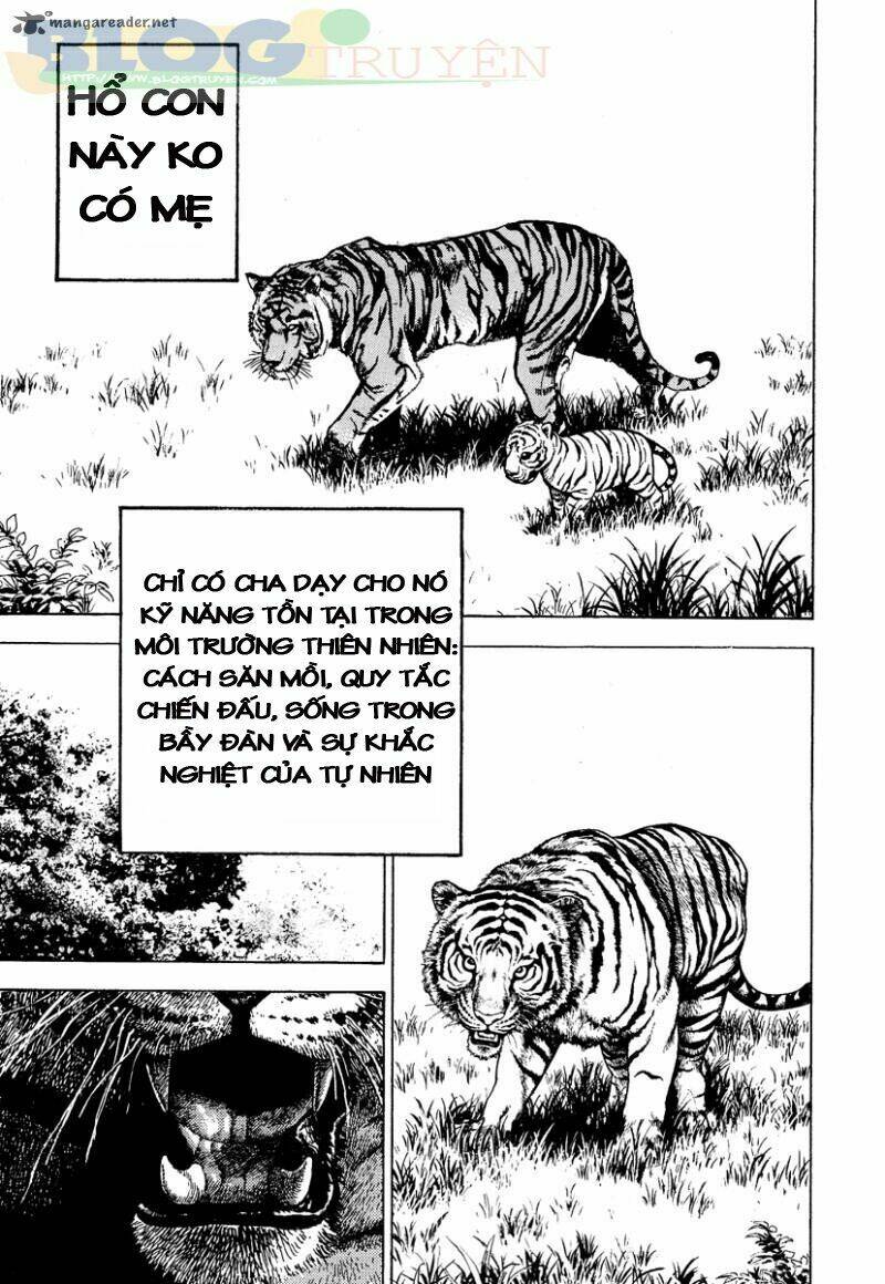 Tough – Miyazawa Kiichi Chapter 217 - Trang 2