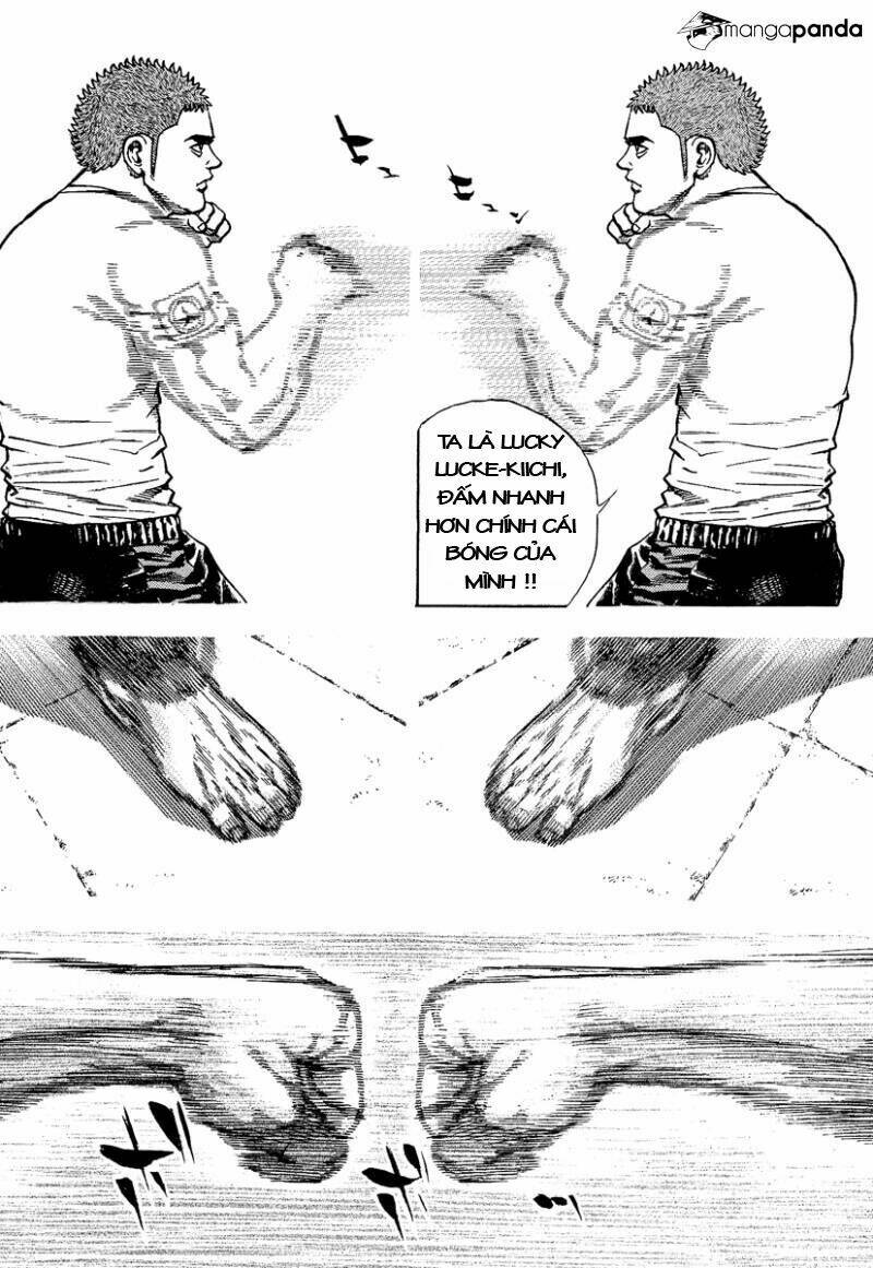 Tough – Miyazawa Kiichi Chapter 222 - Trang 2