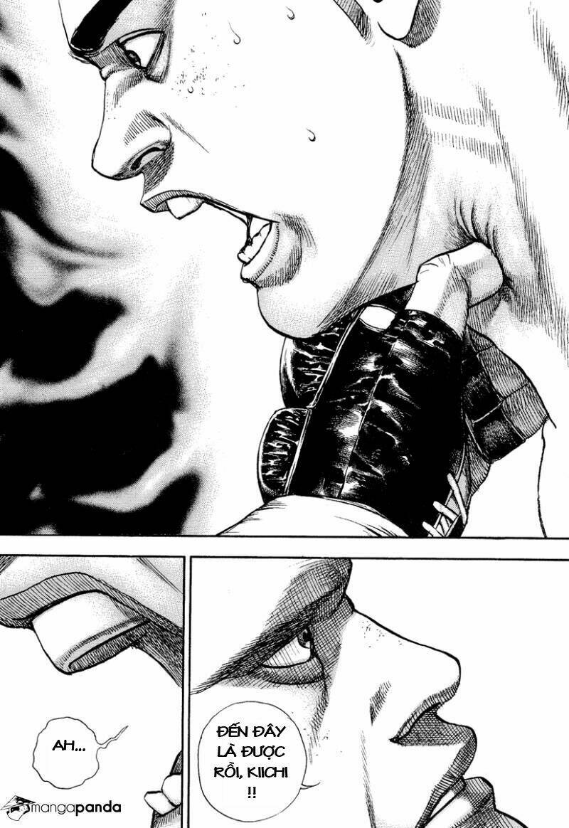 Tough – Miyazawa Kiichi Chapter 224 - Trang 2