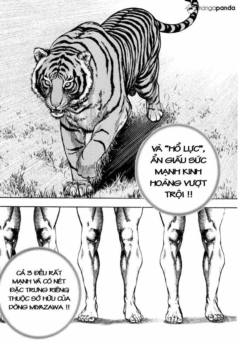 Tough – Miyazawa Kiichi Chapter 226 - Trang 2