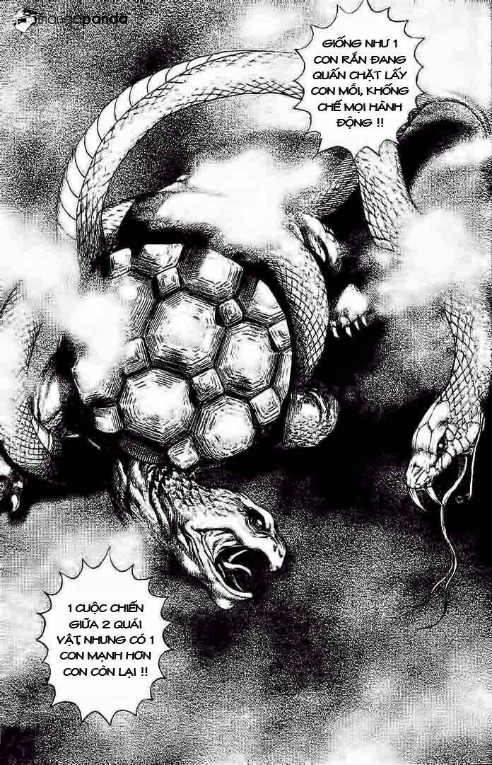 Tough – Miyazawa Kiichi Chapter 228 - Trang 2