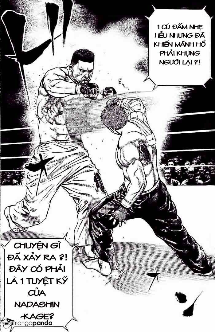 Tough – Miyazawa Kiichi Chapter 231 - Trang 2