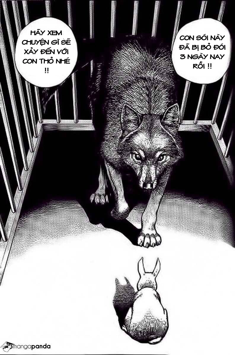 Tough – Miyazawa Kiichi Chapter 234 - Trang 2