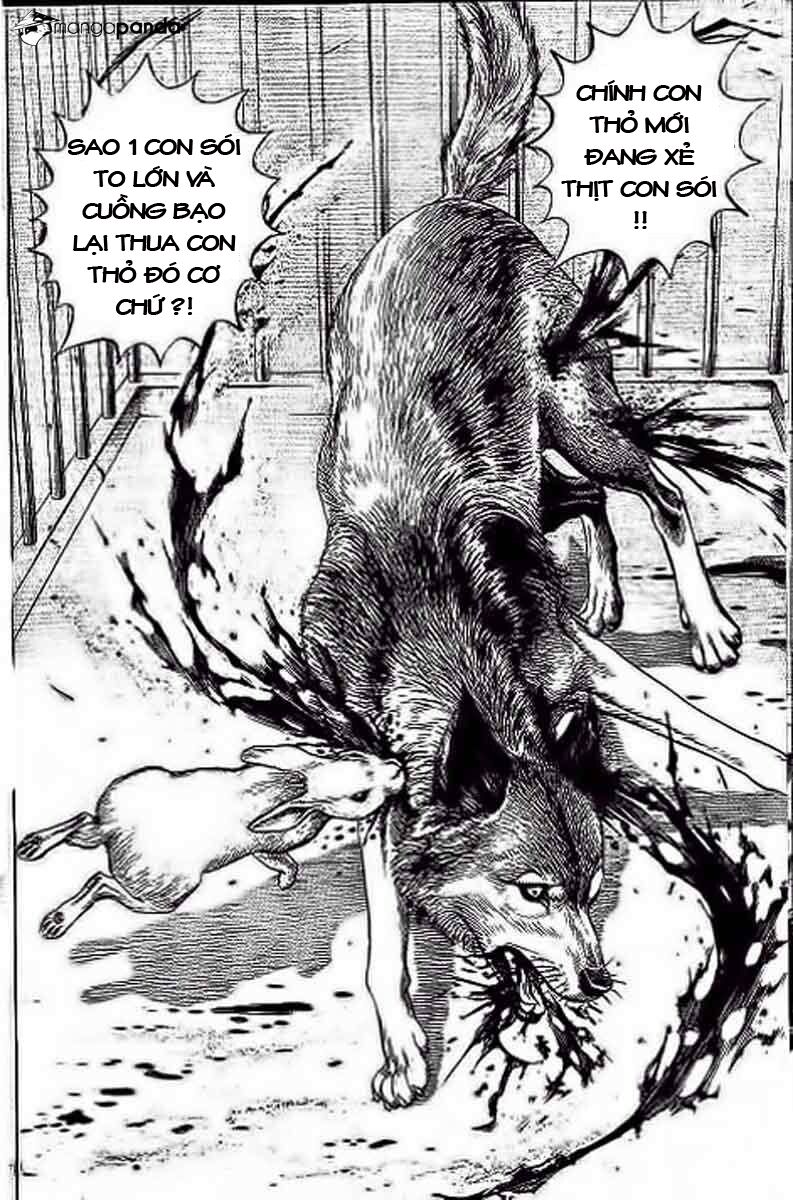 Tough – Miyazawa Kiichi Chapter 234 - Trang 2