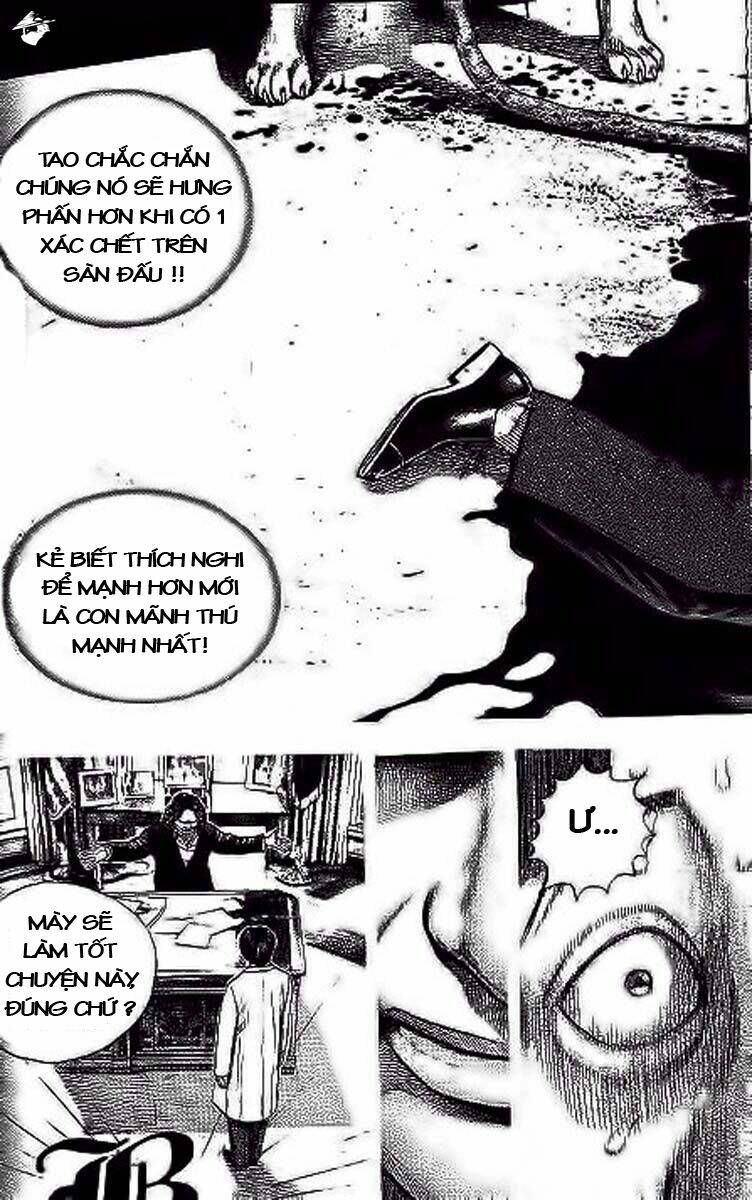 Tough – Miyazawa Kiichi Chapter 238 - Trang 2