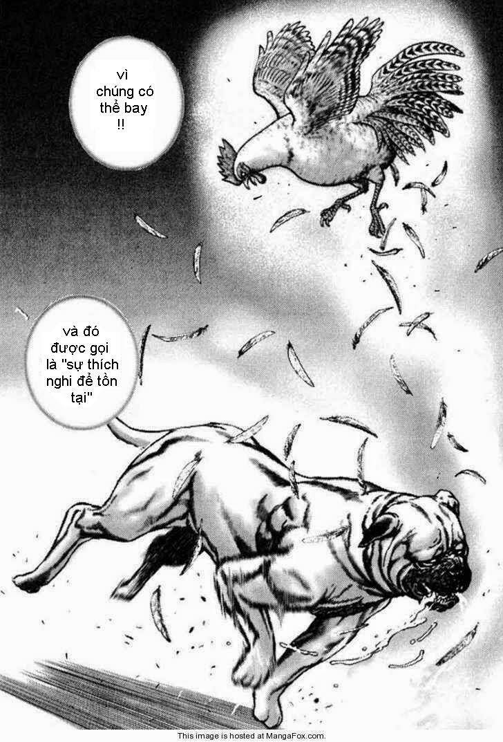 Tough – Miyazawa Kiichi Chapter 26 - Trang 2