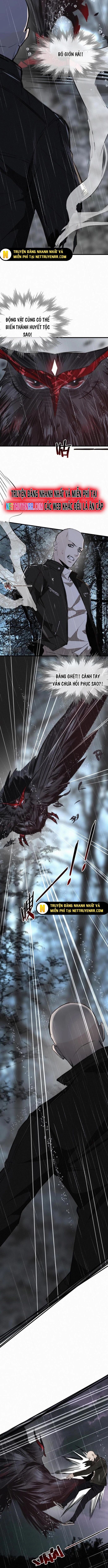 Trải Nghiệm Trở Thành Huyết Tộc Chapter 12 - Trang 2