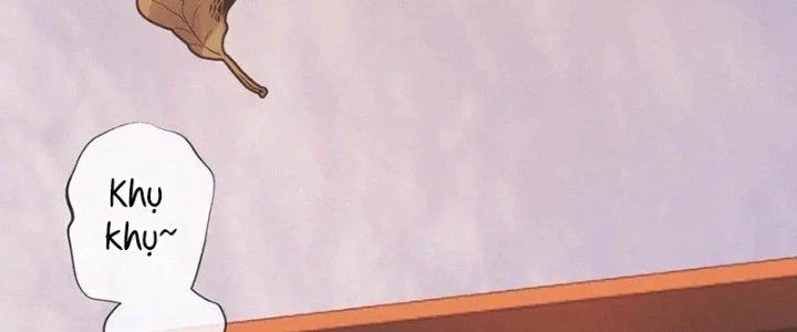 Trải Nghiệm Trở Thành Huyết Tộc Chapter 14 - Trang 2