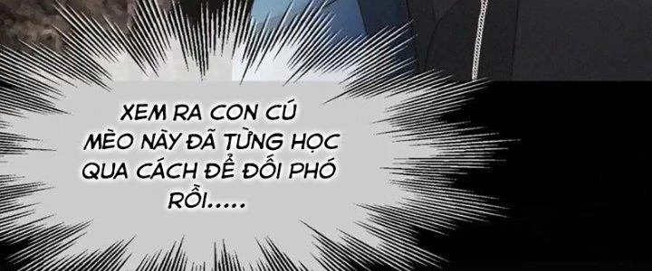 Trải Nghiệm Trở Thành Huyết Tộc Chapter 14 - Trang 2