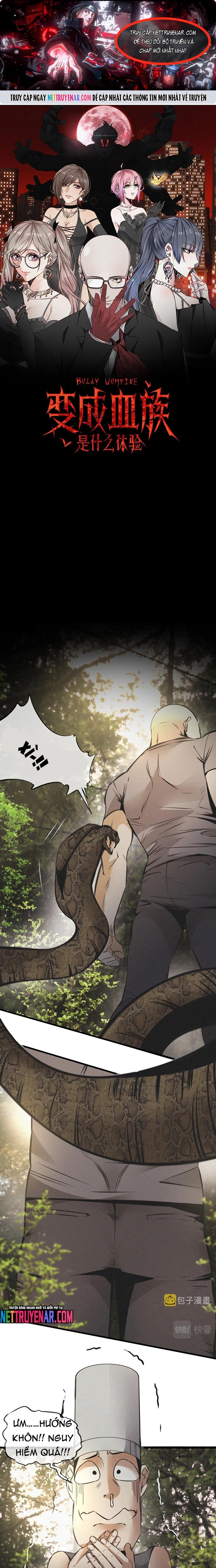 Trải Nghiệm Trở Thành Huyết Tộc Chapter 50 - Trang 2