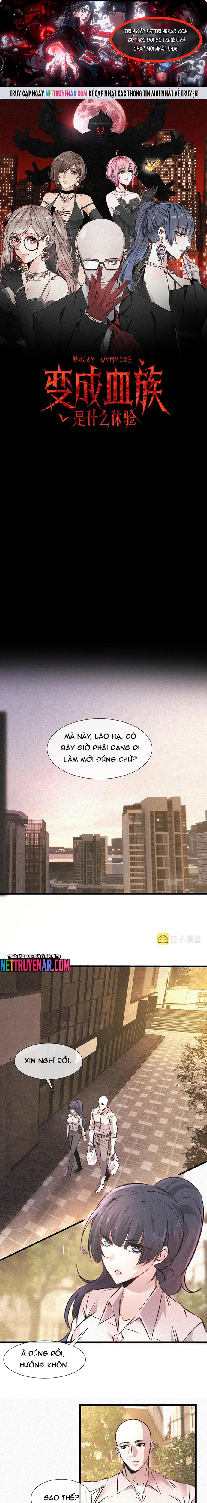 Trải Nghiệm Trở Thành Huyết Tộc Chapter 54 - Trang 2