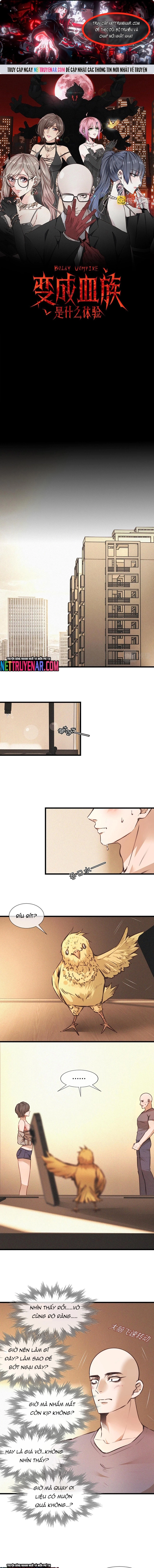 Trải Nghiệm Trở Thành Huyết Tộc Chapter 62 - Trang 2