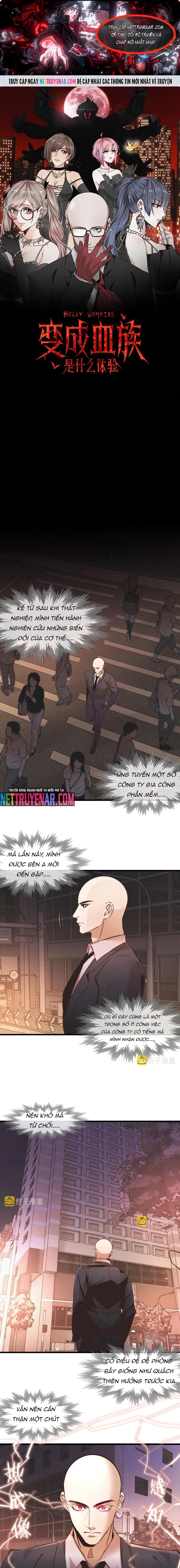 Trải Nghiệm Trở Thành Huyết Tộc Chapter 66 - Trang 2