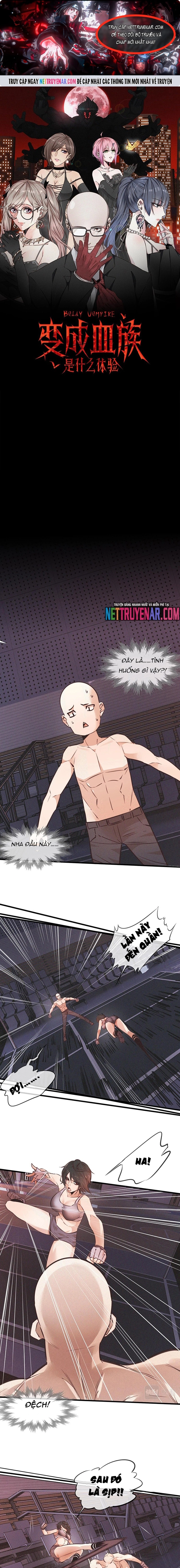 Trải Nghiệm Trở Thành Huyết Tộc Chapter 67 - Trang 2