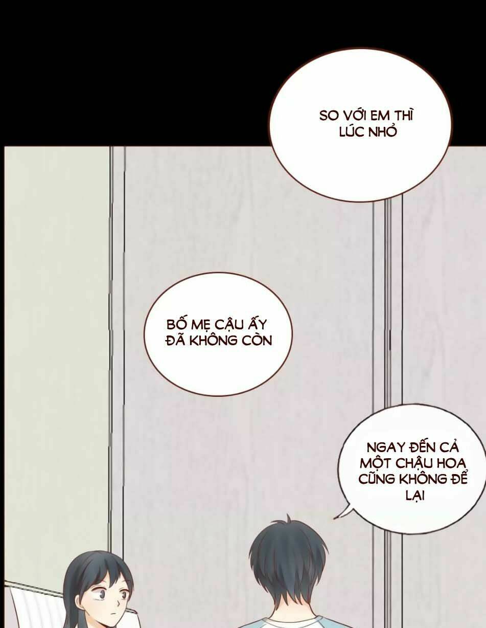 Trái Tim Bí Ẩn Chapter 53 - Trang 2