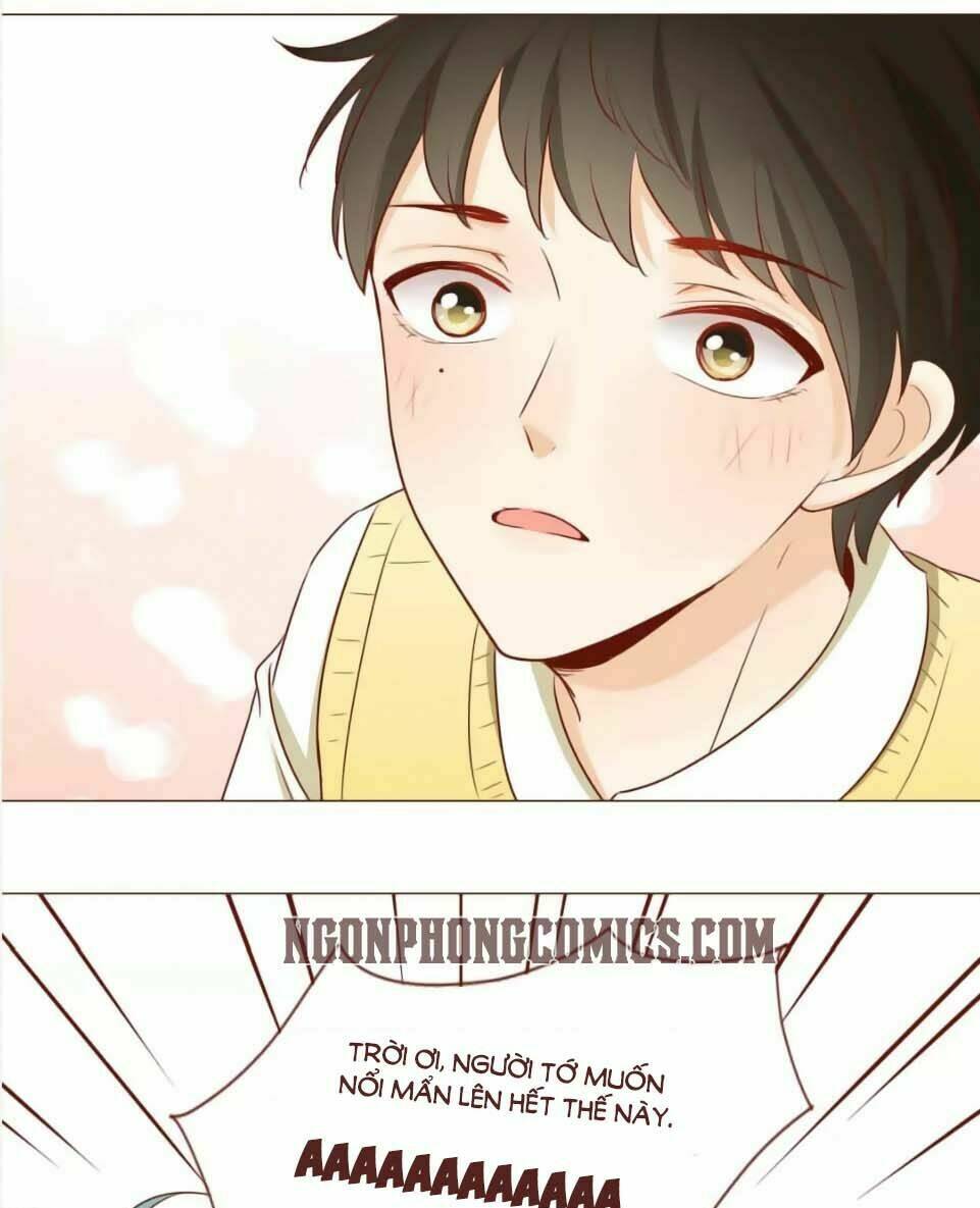 Trái Tim Bí Ẩn Chapter 55 - Trang 2