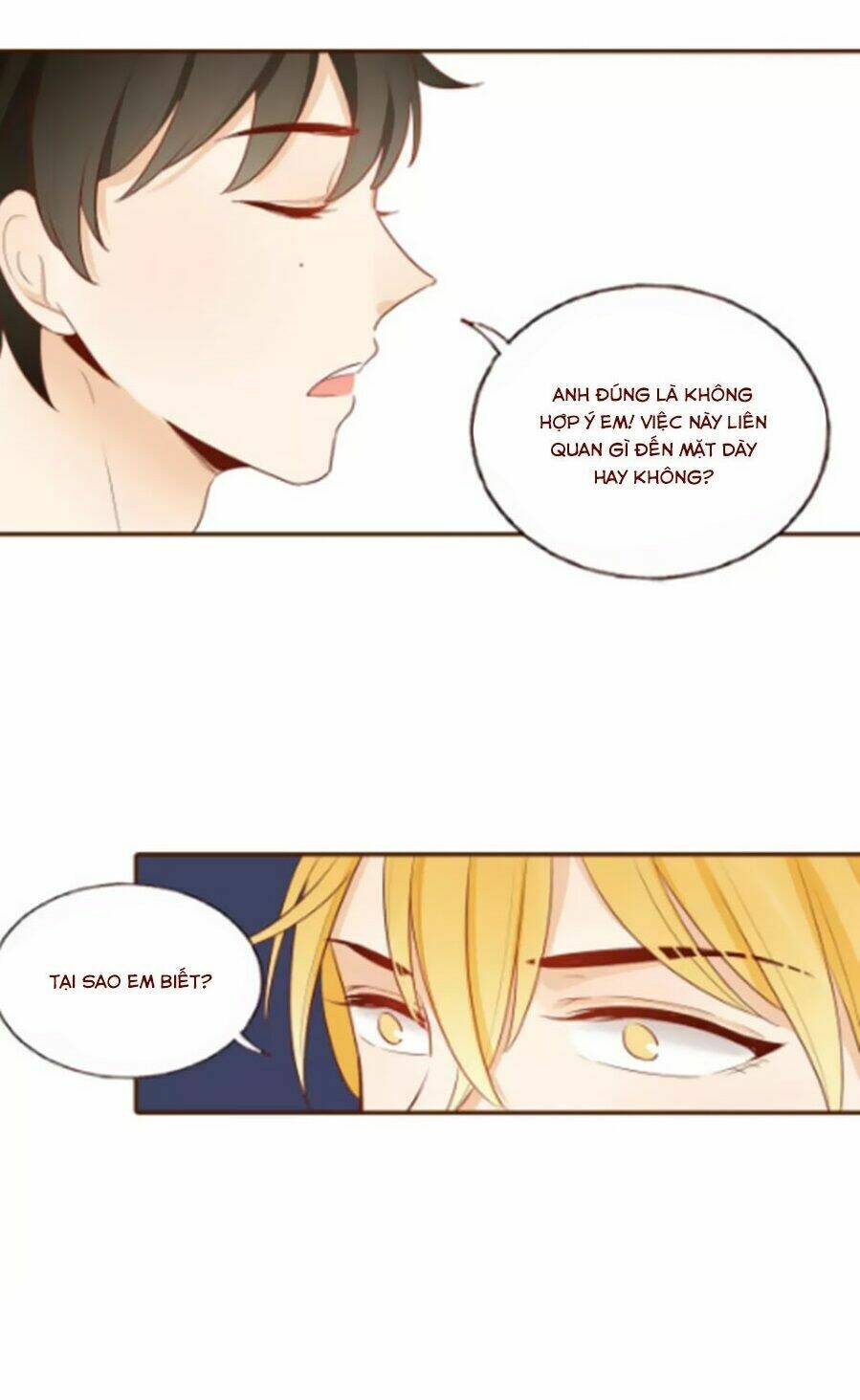 Trái Tim Bí Ẩn Chapter 60 - Trang 2