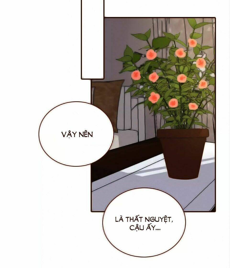 Trái Tim Bí Ẩn Chapter 62 - Trang 2