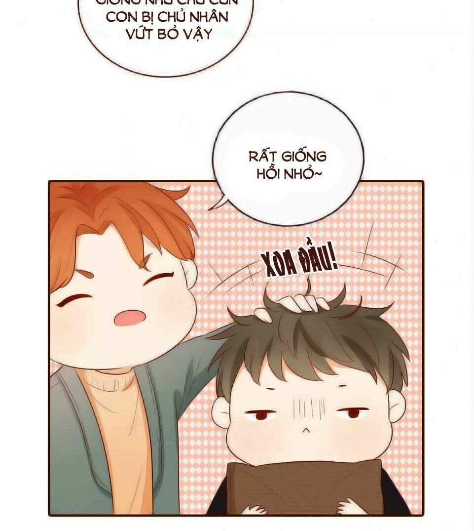 Trái Tim Bí Ẩn Chapter 62 - Trang 2