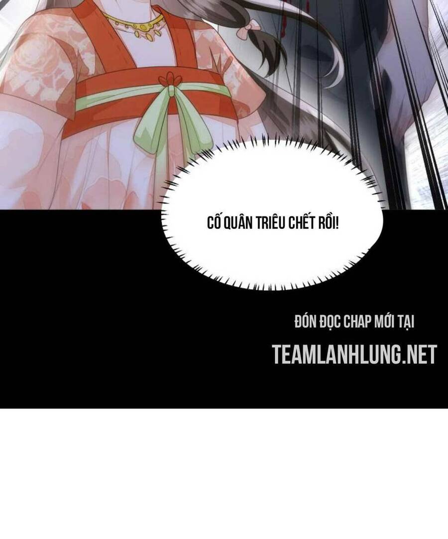 Trăm Kiếp Luân Hồi, Kiếp Này Ta Chỉ Muốn Lười Biếng Chapter 29 - Trang 2